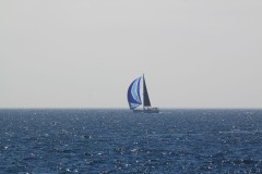 IMG_7400