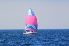 IMG_7469