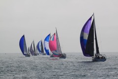 IMG_7529
