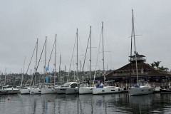 guest-dock-line-up
