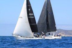 IMG_7811