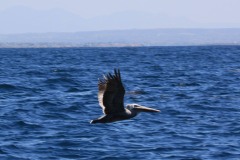 IMG_7935