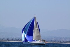 IMG_7951