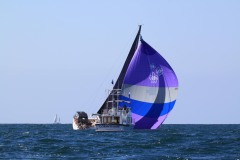 IMG_8060