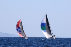 IMG_8126
