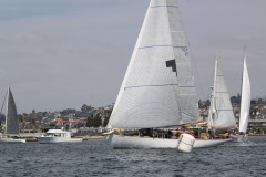 IMG_8256