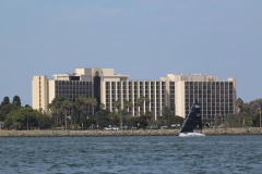 IMG_8284