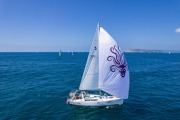 sailboats racing at Beneteau Cup