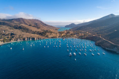 catalina