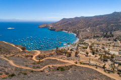 aerial shot of catalina island
