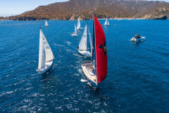 aerial shot of boats sailing at catalina island