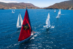 aerial shot of boats sailing at catalina island