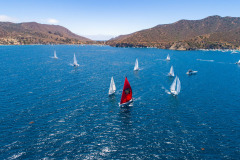 aerial shot of boats sailing at catalina island