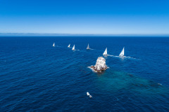 aerial shot of boats sailing at catalina island