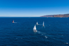aerial shot of boats sailing at catalina island