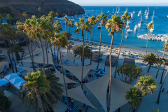aerial shot of rendezvous 