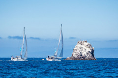 boat sailing at Beneteau Rendezvous