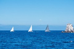 boat sailing at Beneteau Rendezvous