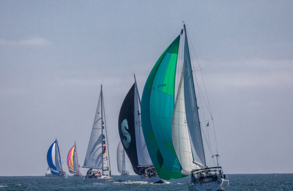 2019 San Diego Cup Proves BestEver! South Coast Yachts